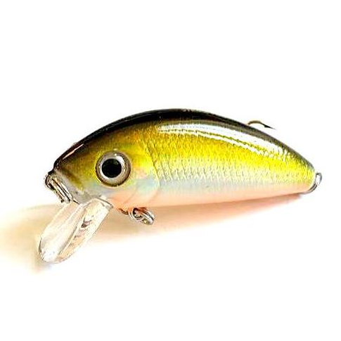 Strike Pro topwater lure swimming pattern