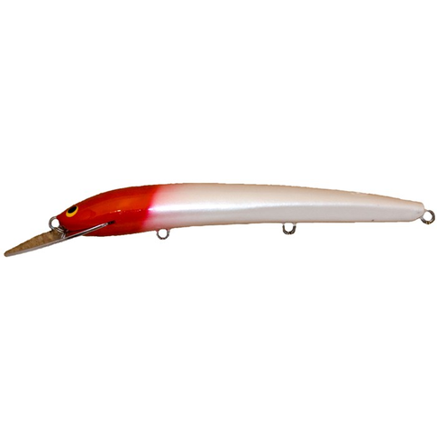 Eel
