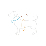 Side view of dog wearing Amiplay Denver fashionable pet clothing