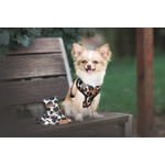 Scout Safari collection harness showing adjustable straps and high-quality finish for maximum dog comfort