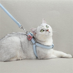 Cat wearing soft cotton harness with 1.6m leash outdoors