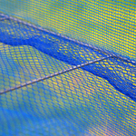 Professional fish dehydration net displaying multiple compartments and durable mesh material