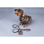 Weather-resistant Safari collection leash with premium finish