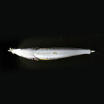 Metal Adict Type-06 10g