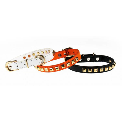Decorative collar 1.5x33cm PET EXPERT